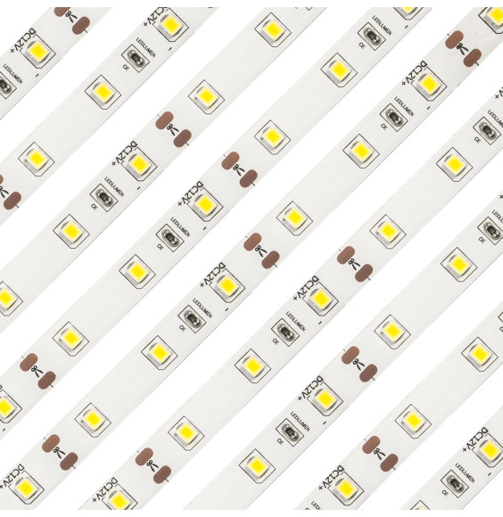 BY-033/60LED 5m 2835 IP20 WW