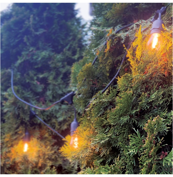 Girlanda ogrodowa 20m IP65 40xE27 LED 1W biała ciepła łańcuch świetlny