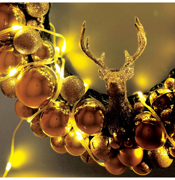 Lampki LED girlanda smart SF-02/100 10m USB WW